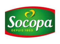 Socopa